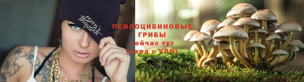 кокаин премиум Арсеньев