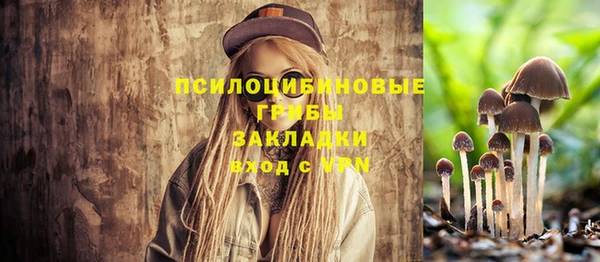 прущая мука Армянск
