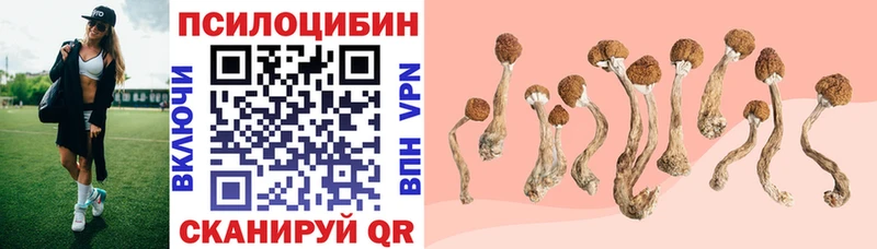 где найти наркотики  Сарапул  Псилоцибиновые грибы Cubensis 